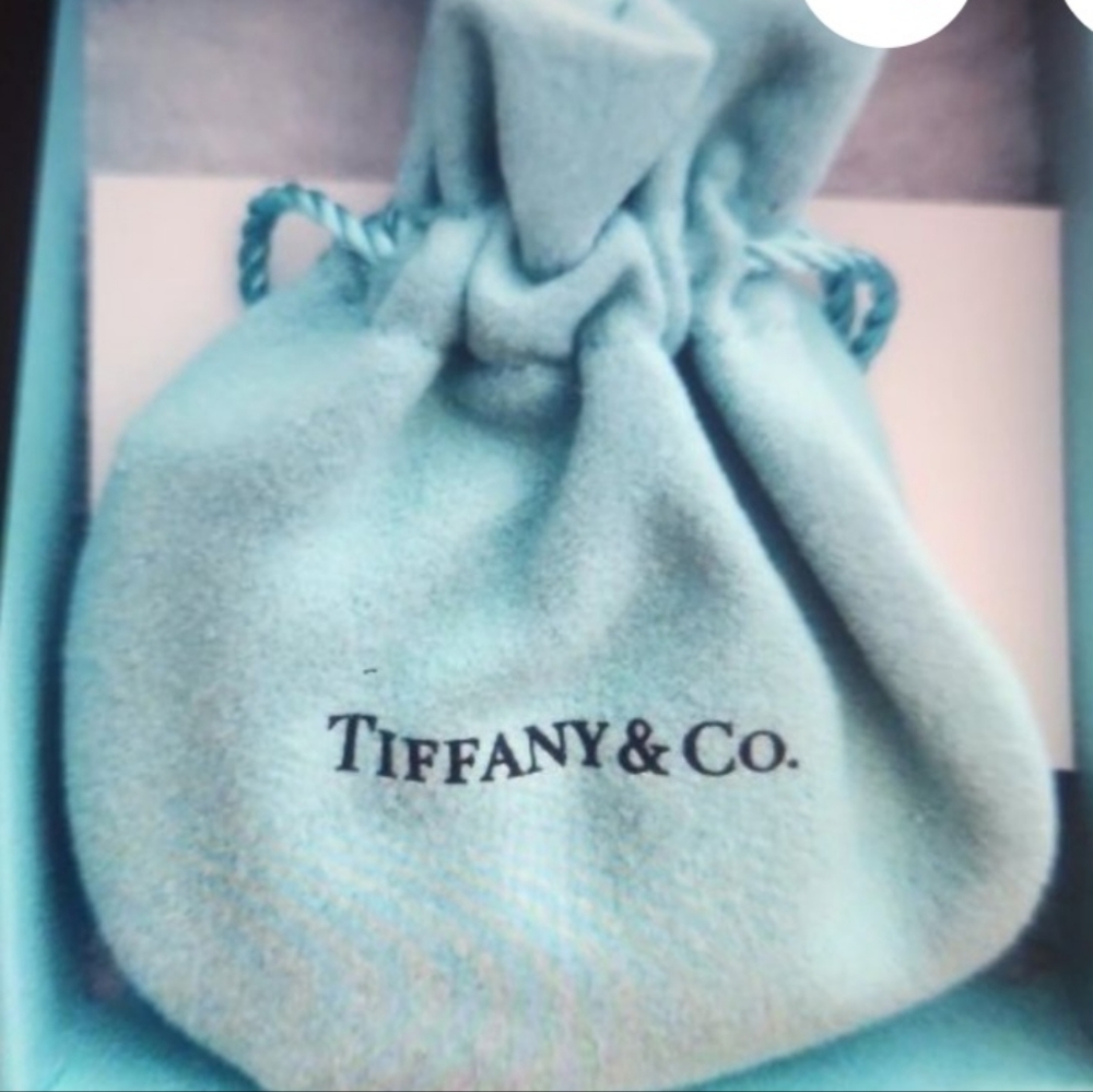 Rare Tiffany & Co horse shoe necklace